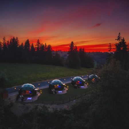 Peak Glamp & Jacuzzi Hotel Zakopane Exterior foto